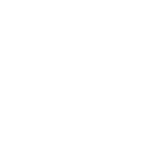 Ruckus Dog White